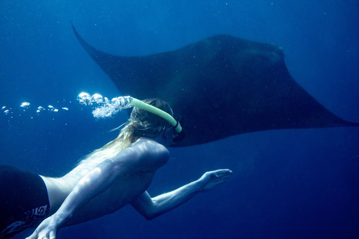Snorkeling experience preview